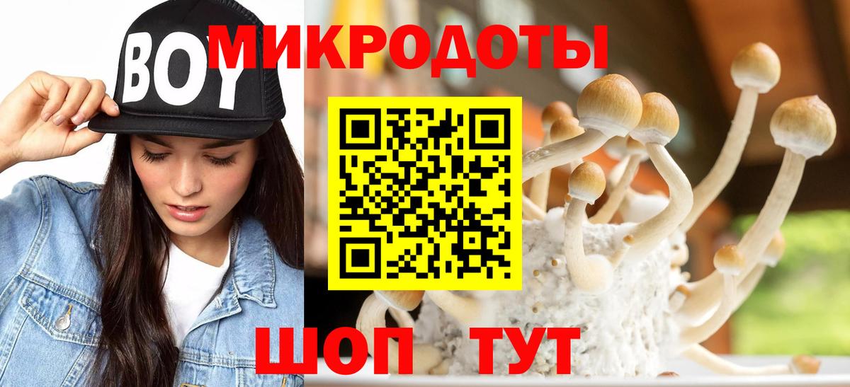 Галлюциногенные грибы MAGIC MUSHROOMS Семилуки